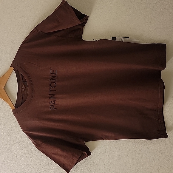 Panetone x Forever 21 | Brown Embroidered T Shirt - Picture 2 of 11